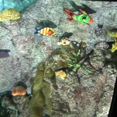 Chariminn's profile picture. 2025年8月からダイヤモンドアートをはじめました。ダイヤモンドアート好きな方と繋がりたいです😊無言フォロー失礼します🙇‍♀️