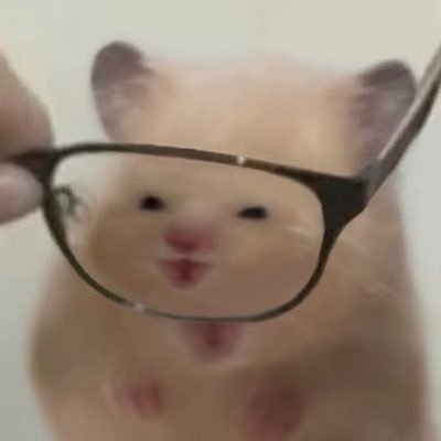 bam_nuo's profile picture. 