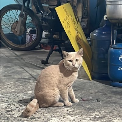 Akaatt2195151's profile picture. 