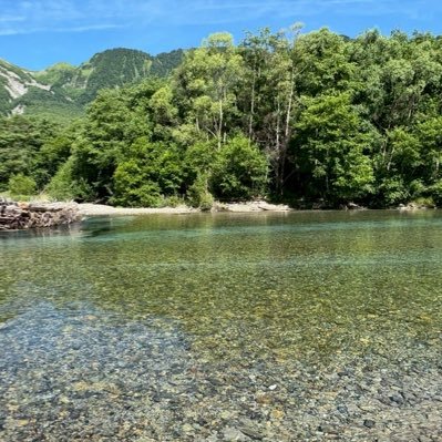 mtmsk__1361's profile picture. 