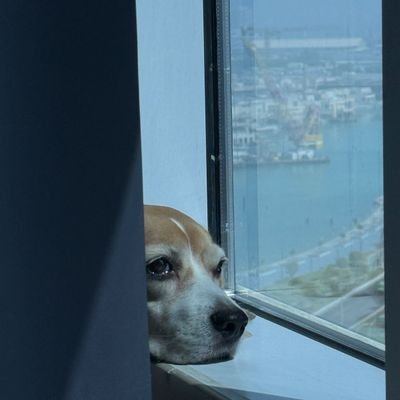 drpnmenon65's profile picture. 