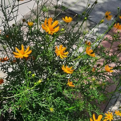 hiiunn05's profile picture. ชาญเจตดิวะ