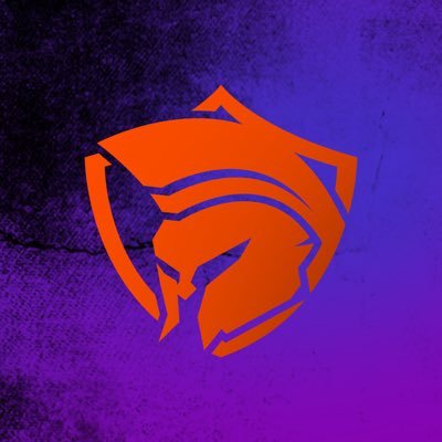 ArmourESP's profile picture. Professional Esports Organisation | 1x FNCS CHAMPIONS | Info@armouresports.com | https://t.co/t8dn4e8TDu | @ArmourVal | #Armourup