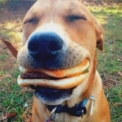 vermissq's profile picture. kms