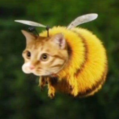 _Xanii_'s profile picture. @YouTube @Twitch