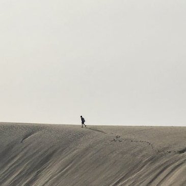 eyes1617's profile picture. Web3投研 \ 项目分享 \ BTC \ ETH