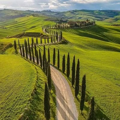 NORTHSTAR_1965's profile picture. 