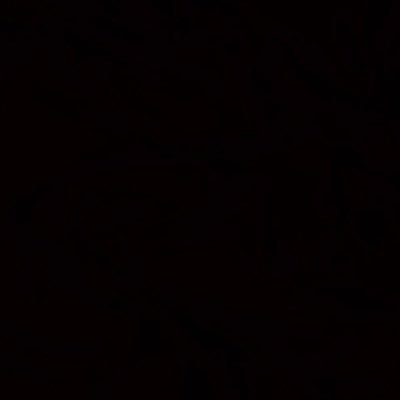Z211291222's profile picture. 