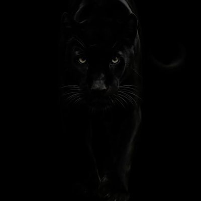 __M70__'s profile picture. ✨” ✨