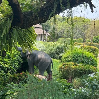 npd_rm2's profile picture. 