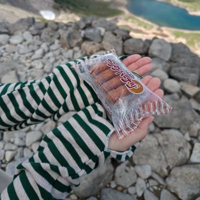 Day80Holiday's profile picture. 昔からこっそりずっとYP