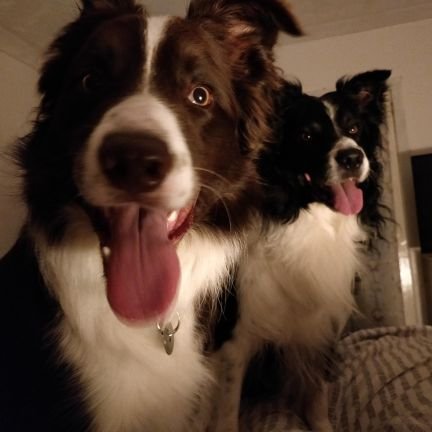 PDowness's profile picture. NHS worker,cyclist, cricket fan,Villa fan, Scotland via Brum,  owned by my dogs, please no DMS unless we chat