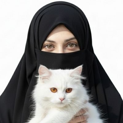 Sana1518050's profile picture. Content Writer | Crypto news| SEO Blog & Script Writer | Voice-Adaptive & Versatile | Writes in Every Tone with Impact