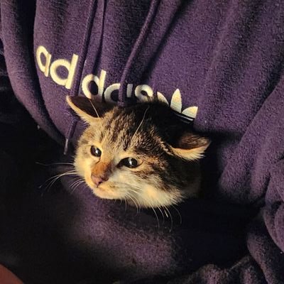 eoheung0912's profile picture. 여자 좋아 인간