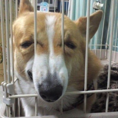 mang0555's profile picture. drawer