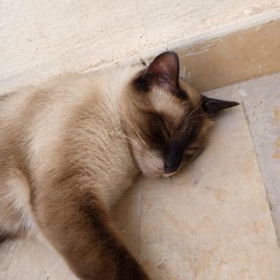 ahmad939_i's profile picture. one piece on top