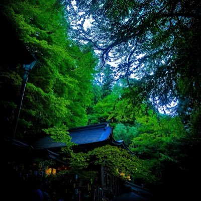 toshioyamana's profile picture. MovieHacksで動画編集を学んでいます。 グロースラウンジに参加中。