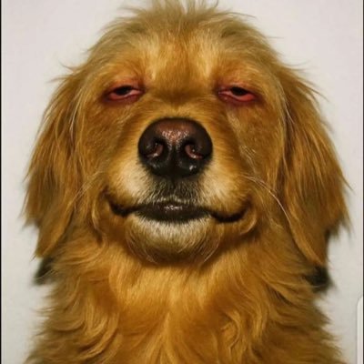 prases1tho's profile picture. 