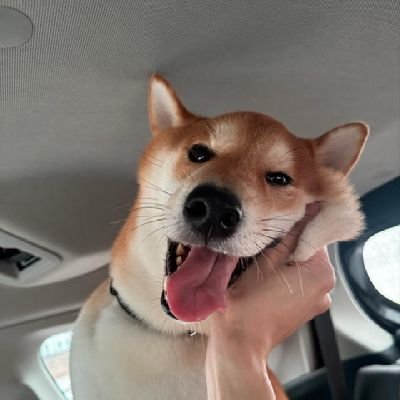 hhaveag00dday's profile picture. 𖤐.ᐟ — my love !! yinwar | got7 ⋆˚꩜｡࣪ ִֶ