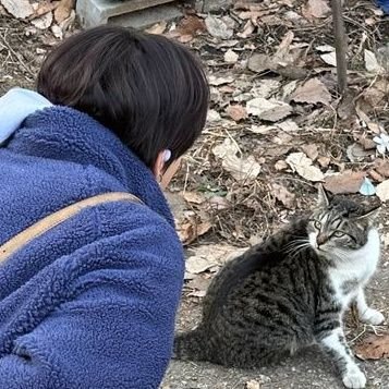 matchaerryx's profile picture. ☆ ֺ  twilight; nosferatu moves with eerie grace.