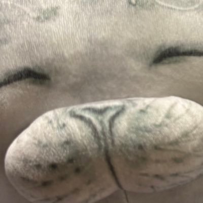 OkuemonOfficial's profile picture. 🦭🇪🇬🇲🇽🇵🇪🇺🇿💕