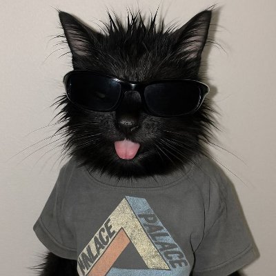 pupcake_ow's profile picture. im wolfing out 
Top 8 MRI x1 Top 16 MRC x2 Top 64 x1 Top 32 MRI 1x UCLA LAN Champ