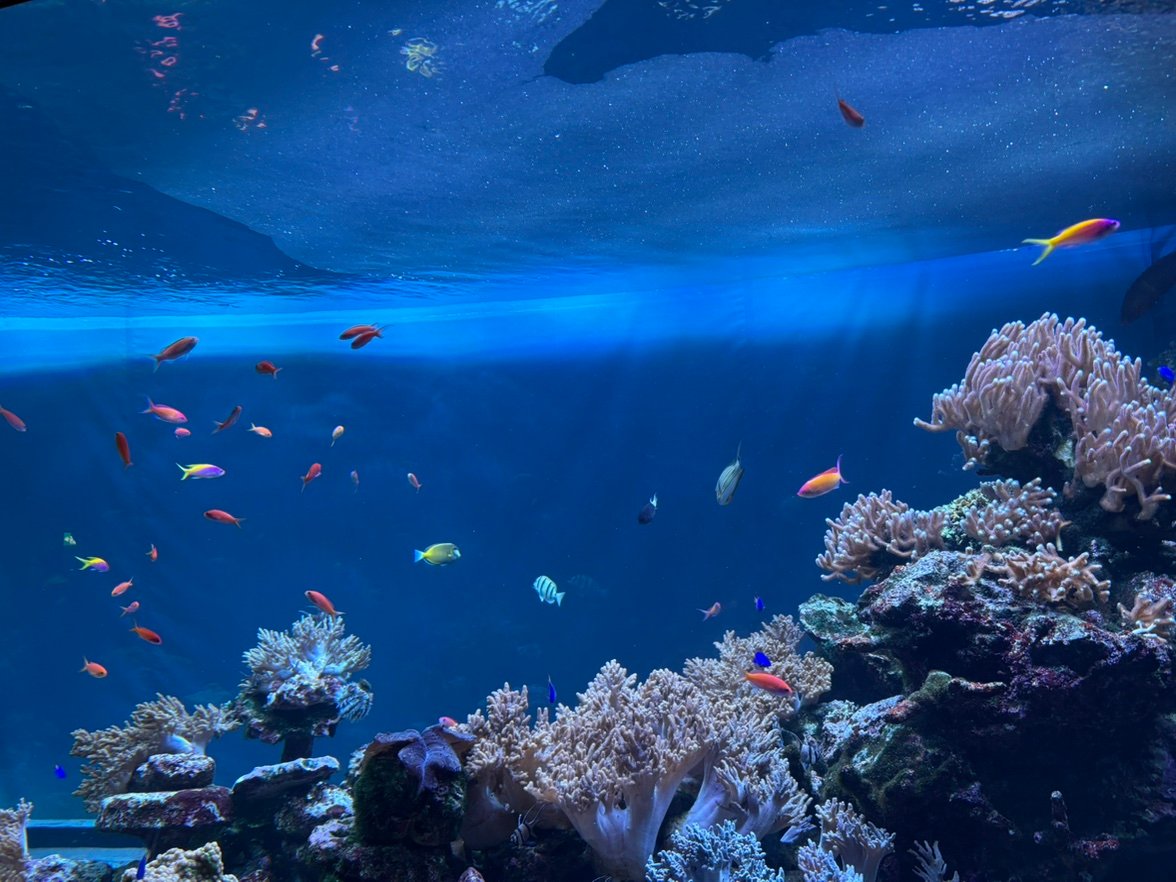 mizu18ge's profile picture. 