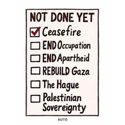 drshabinasultan's profile picture. Consultant Rheumatologist, osteoporosis + FLS lead.❤️family ❤️fairness. #endoccupation #endapartheid. ALL VIEWS MY OWN