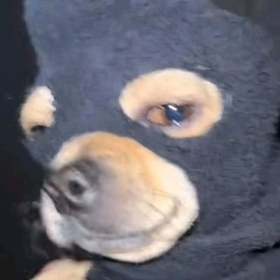 polxzcs's profile picture. 