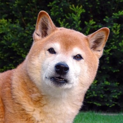 krisotm's profile picture. ベガルタ仙台を応援してます
