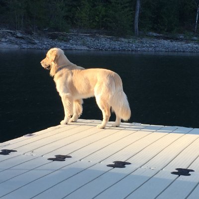 LeonardSzabo2's profile picture. 