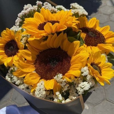 _N3SS7_'s profile picture. 𝐼 𝑑𝑜 𝑖𝑡 𝑓𝑜𝑟 𝑡ℎ𝑒 𝑔𝑖𝑟𝑙𝑠 𝑎𝑛𝑑 𝑡ℎ𝑒 𝑔𝑎𝑦𝑠, 𝑡ℎ𝑎𝑡'𝑠 𝑖𝑡