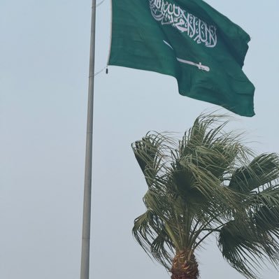 y73827's profile picture. 