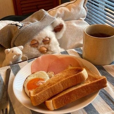 lhasa710's profile picture. 늘 피곤해요