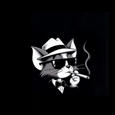 silmara29493009's profile picture. $MSFT $AAPL $GOOG - mega caps, strong trends, long bias.