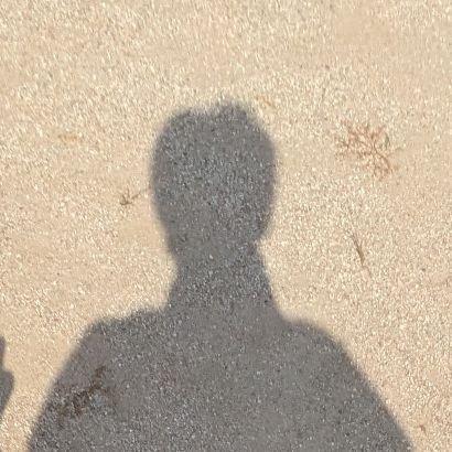 concha_gang's profile picture. EA自作中。