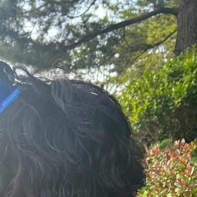 koma_koma1111's profile picture. こまちゃんと結婚したい