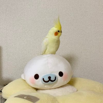 レモンとマメ on X