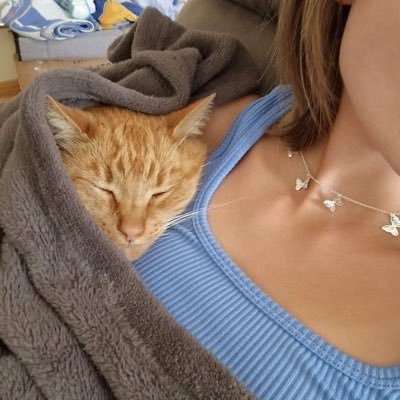 ushiyadaisuki's profile picture. 구독하게해주세요🤍 대부분이 북마크용 트윗. rps 편식 안함. 특히 좋아하는 건 있음. 주의하세요!🫶