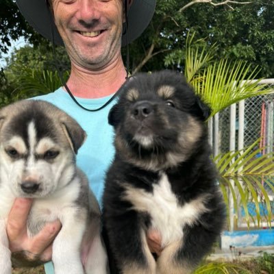 niallharbi01's profile picture. On a mission to save street dogs around the world. you can support. You can message to purchase any type of Dog.🐕