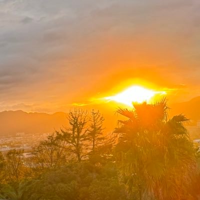 shimaen743's profile picture. しがない大学生                                              専門とは関係ないプログラミング勉強