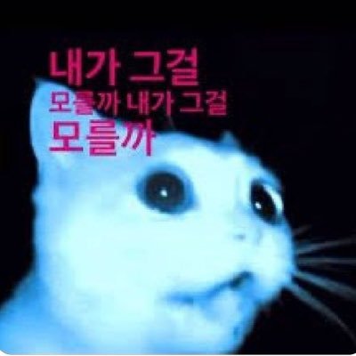 3sugaend's profile picture. 재수는 스킵한 예비삼수생