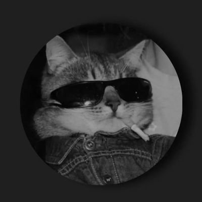 AMujurex's profile picture. Disclaimer⚠️: Driven by a fear of being average