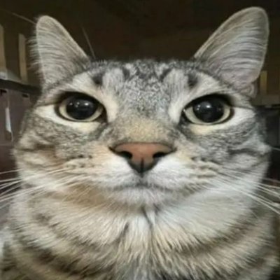 Rikkiuss's profile picture. I love Ornn :3