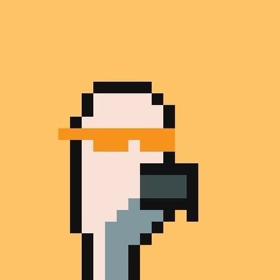 iamnotbrkn's profile picture. 