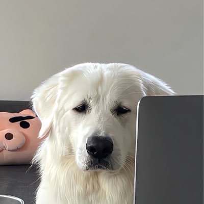 pnbt___'s profile picture. 