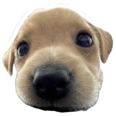 Millionair7744's profile picture. 