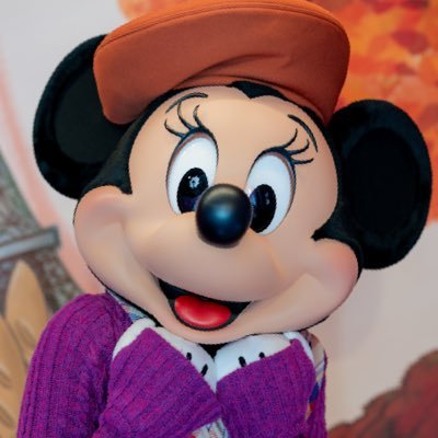k_kun_disney's profile picture. Mickey￤Minnie￤Princess￤Canon￤Nikon￤