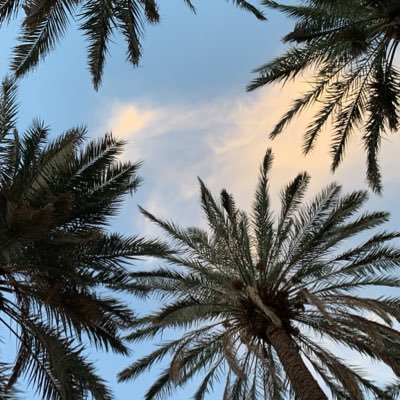 ABDULLAH_FADHAA's profile picture. نحن لا نملك تغيير الماضي و لا رسم المستقبل .. فلماذا نقتل انفسنا حسرة على شيء لا نستطيع تغييره ؟ الحياة قصيرة و أهدافها كثيرة