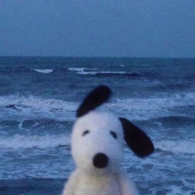 y_yaonz1's profile picture. 